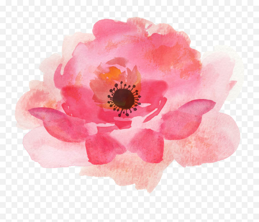 Pink Watercolor Flowers High Quality - Watercolor Floral Png Pink Emoji,Watercolor Png