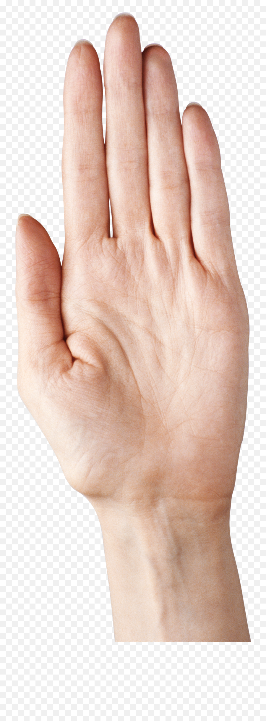 Five Fingers Hand Png Transparent Png - Palm Hand Png Emoji,Fingers Clipart