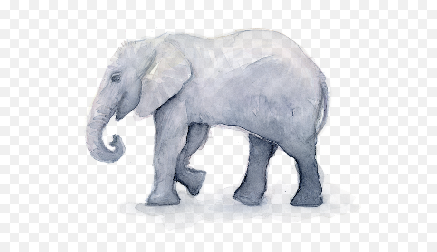 Elephant Watercolor T - Shirt Emoji,Elephant Transparent