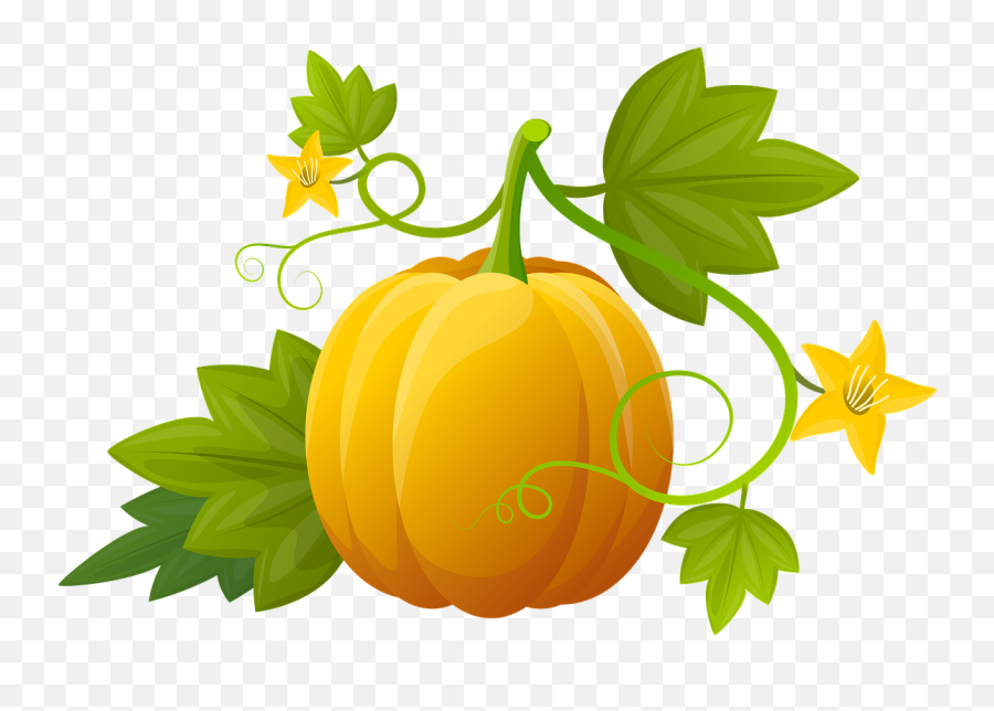 Pumpkin Illustration Plants - Free Image On Pixabay Emoji,Watercolor Pumpkin Clipart