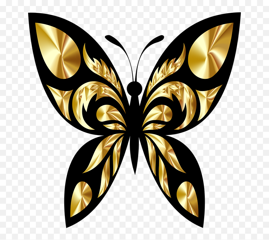 Free Photo Icon Butterfly Icon Butterfly Butterfly - Gambar Kupu Kupu Tatto Emoji,Butterfly Silhouette Png
