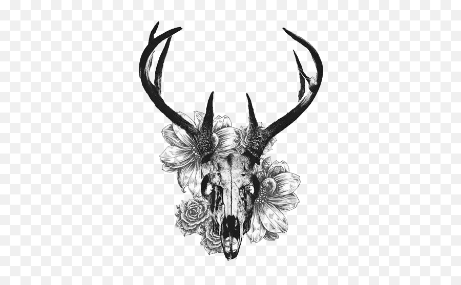 Download And Tattoo Skull Deer White - Tailed Creative Black Tattoo Deer Skull Drawings Emoji,Skull Clipart Black And White