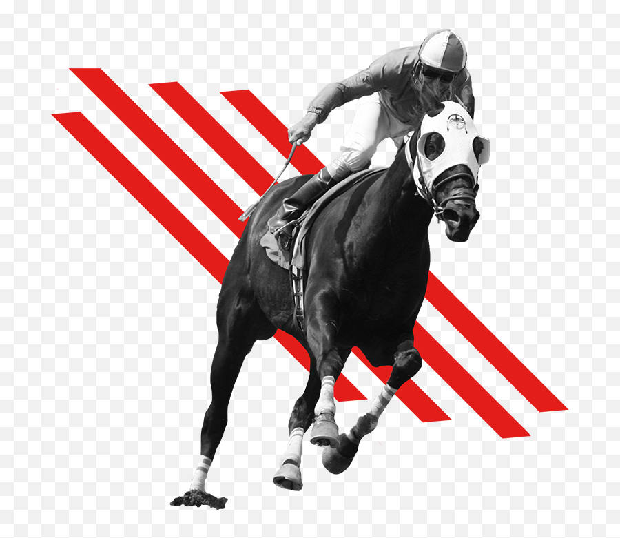 Home - Clip Art Transparent Horse Racing Emoji,Horse Racing Logo
