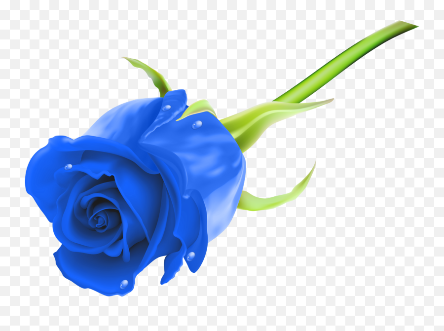 Blue Rose Clipart Png - Fresh Emoji,Rose Clipart