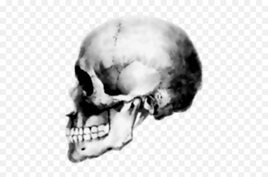 Skull Icon Emoji,Skull Icon Png