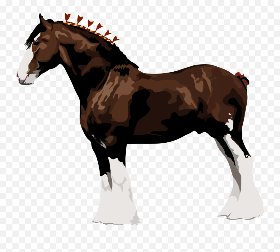 Clydesdale Horse The Percheron Italian Heavy Draft Shire Emoji,Draft Png