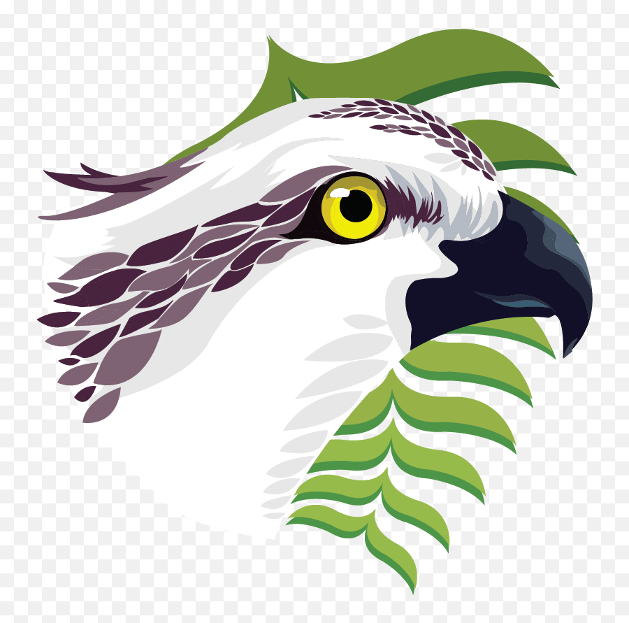 Contact - Tiskita Jungle Lodge Emoji,Osprey Clipart