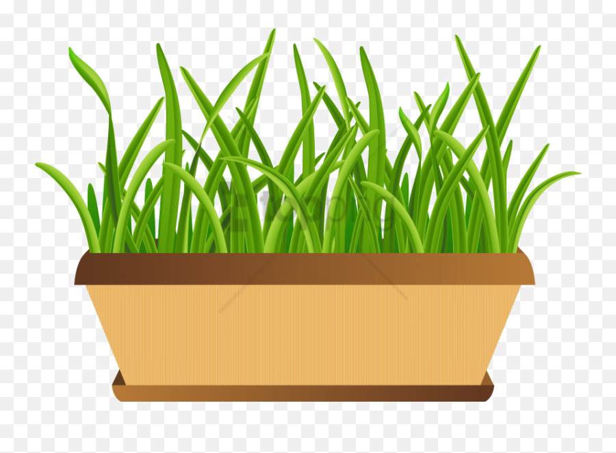 Grass Pot Clipart Png Png Image With No - Transparent Background Flower Pot Clipart Png Emoji,Pot Clipart