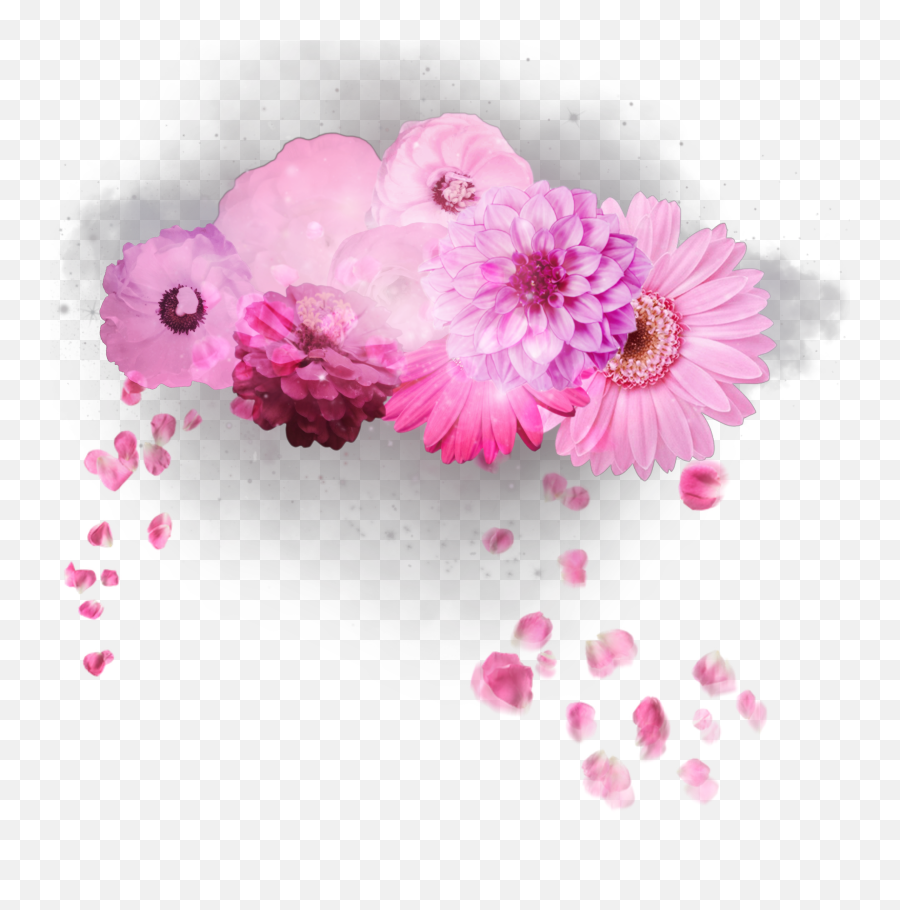 Flowers Flower Crown Sticker By Basani Emoji,Daisy Flower Crown Transparent