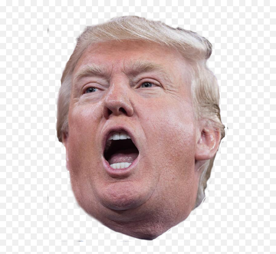 Donald Trump Face Png Photo - Trumps Icon Png Emoji,Trump Face Png