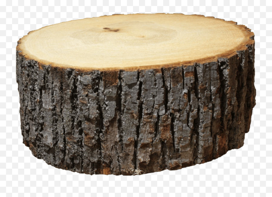 Log Section Transparent Png - Transparent Wooden Log Png Emoji,Log Png