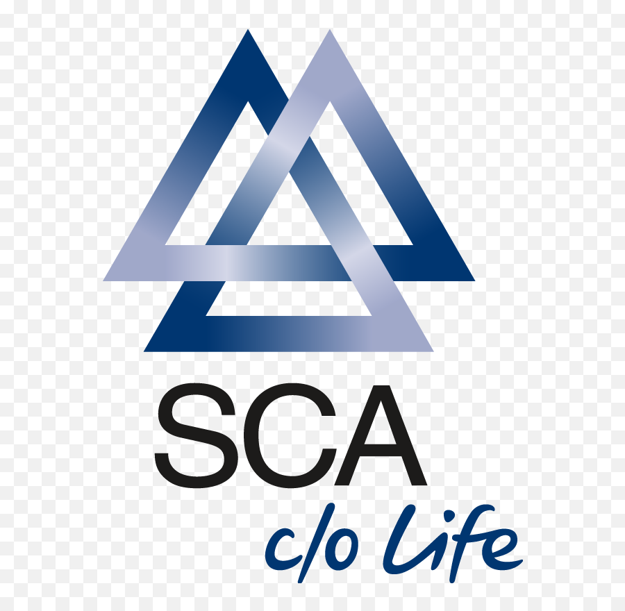 The Branding Source New Logo Sca Emoji,Valknut Png