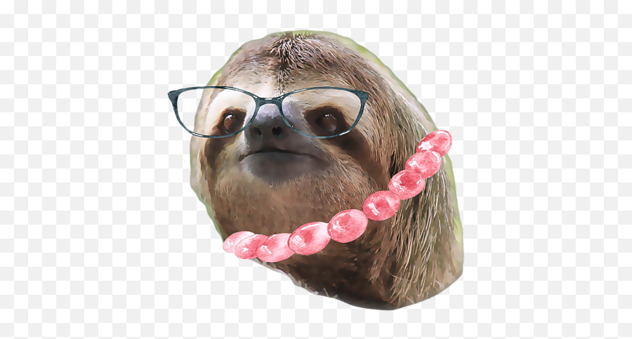 Sloth Black Glasses Beads Sloths In Clothes Fleece Blanket Emoji,Transparent Sloth