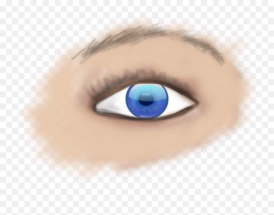 Download This Free Clipart Png Design Of Human Eye Clipart - El Ojo Humano Png Emoji,Eye Clipart
