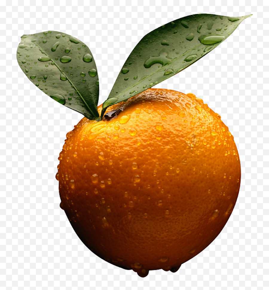 Orange Png Image - Pdf Frank Wood Business Accounting 1 Frankwood Business Accounting 1 Emoji,Oranges Clipart
