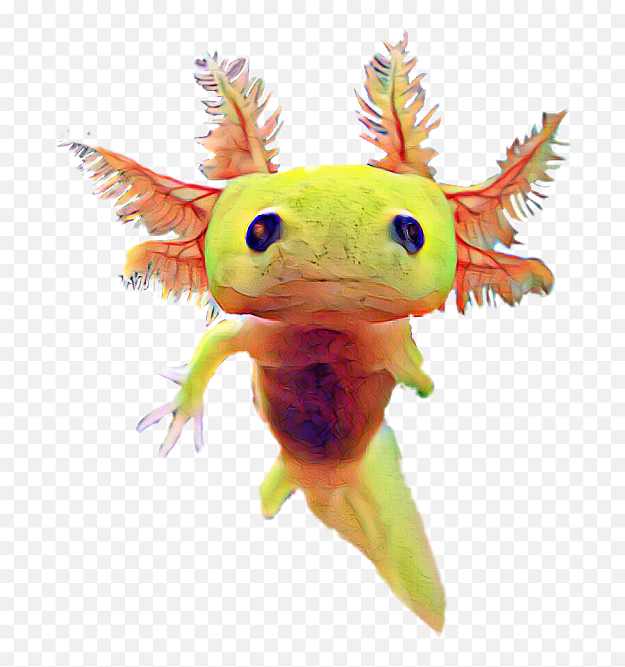Axolotl Clipart Weird Png Download - Fictional Character Emoji,Axolotl Clipart