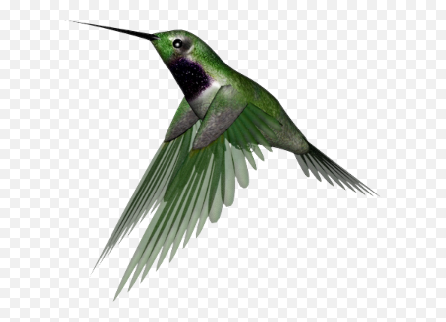 Hummingbird Png Clipart - Humming Birds Transparent Background Emoji,Hummingbird Clipart