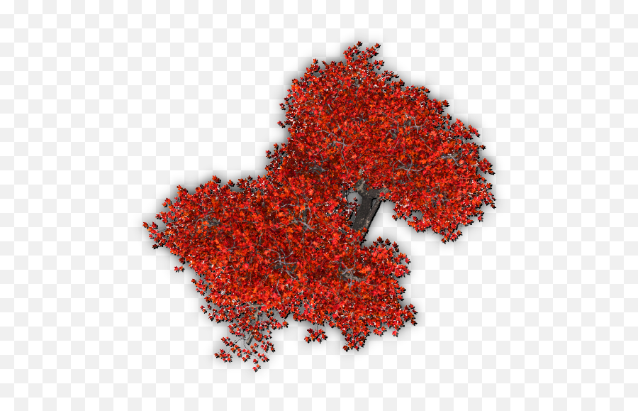 Index Of Mappingterrainplantstreesfall Emoji,Tree From Above Png