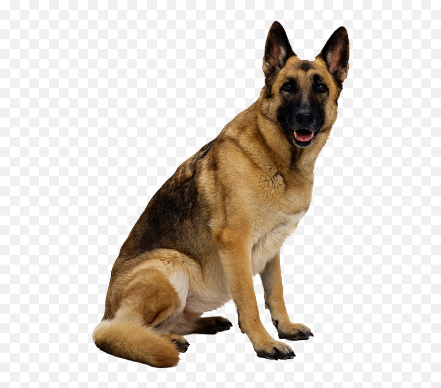 Dog Png Images - German Shepherd Png Emoji,Dog Png