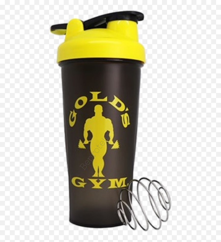 Shaker Golds Gym Logo - Gym Emoji,Golds Gym Logo