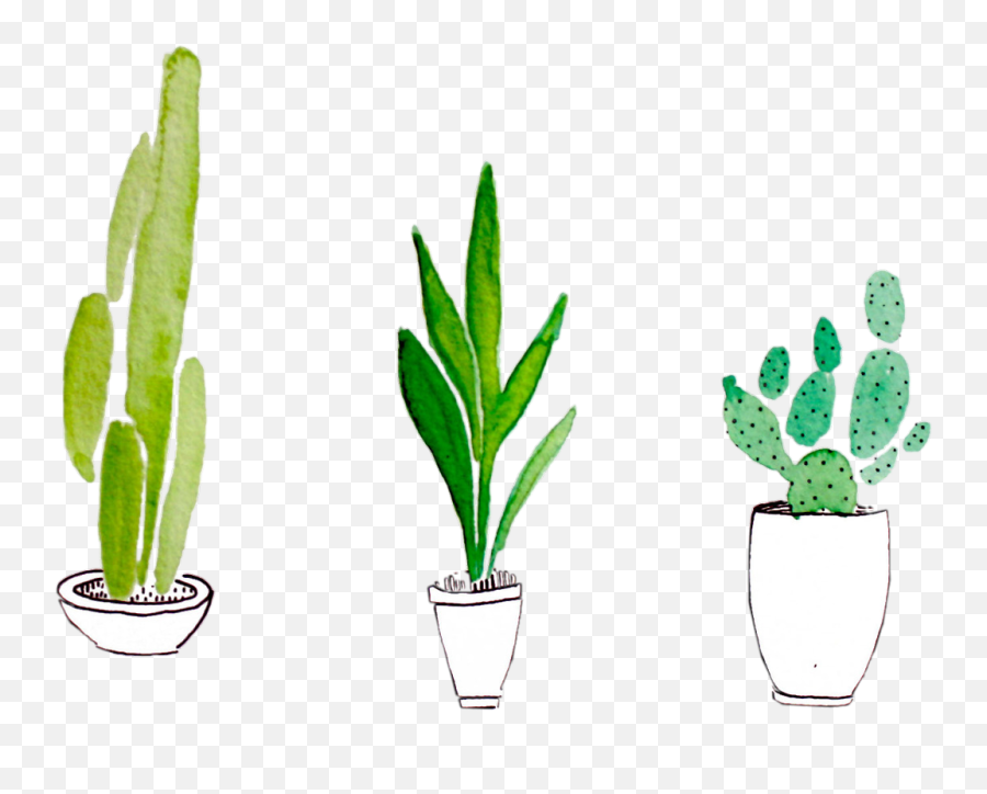 Tumblr Plants Png Transparent Png Png Collections At Dlfpt - Cactus Transparent Emoji,Plant Png