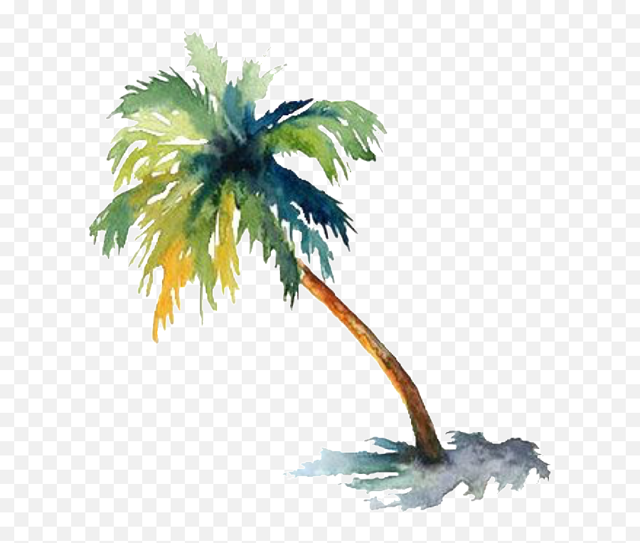 Watercolor Tree Palm Palmtree Sticker - Transparent Watercolor Palm Tree Emoji,Watercolor Tree Png