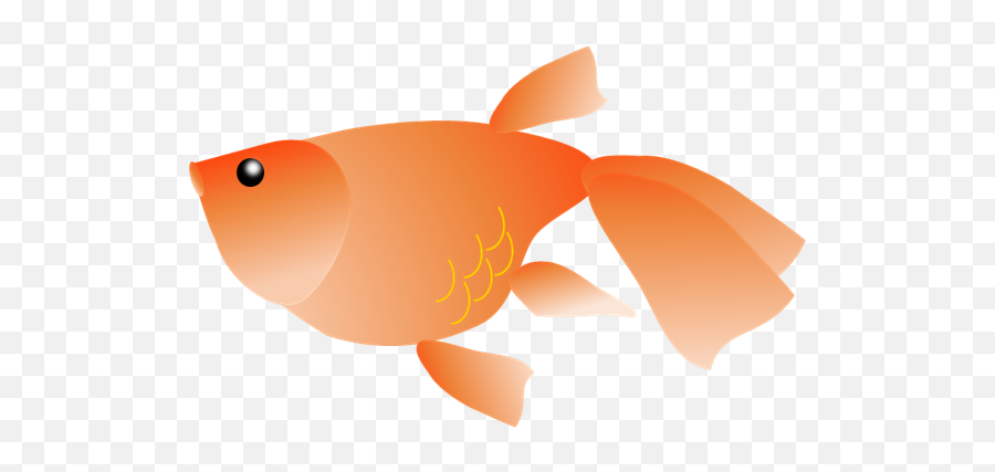Uploads Goldfish Goldfish Png69 - Png Press Transparent Emoji,Gold Fish Clipart