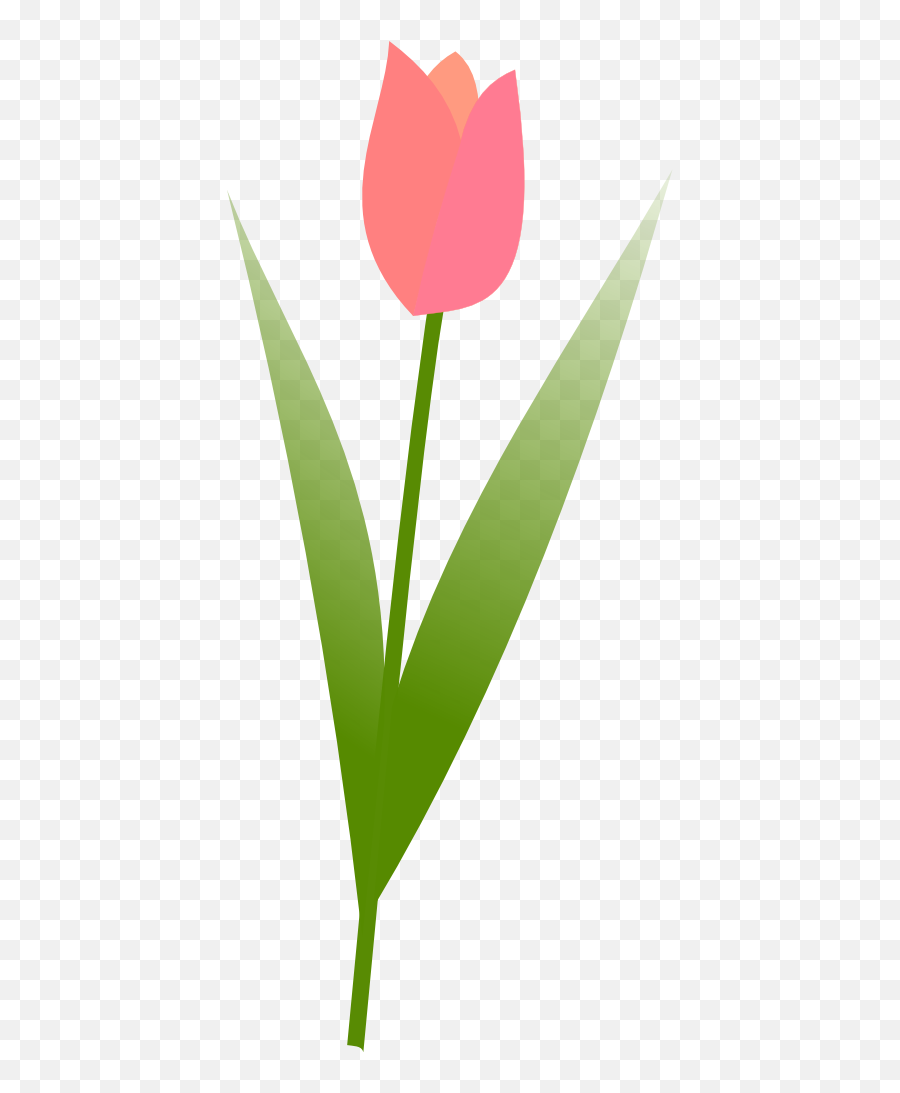 Tulip Clipart - Tulipan Vector Dibujo Png Emoji,Tulip Clipart