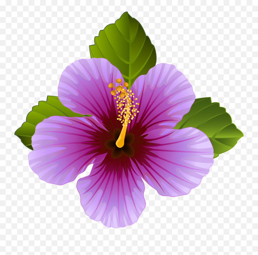 Hawaiian Clipart Purple Hawaiian Flower Picture 1306962 - Transparent Background Tropical Flower Clipart Emoji,Hawaiian Flower Clipart