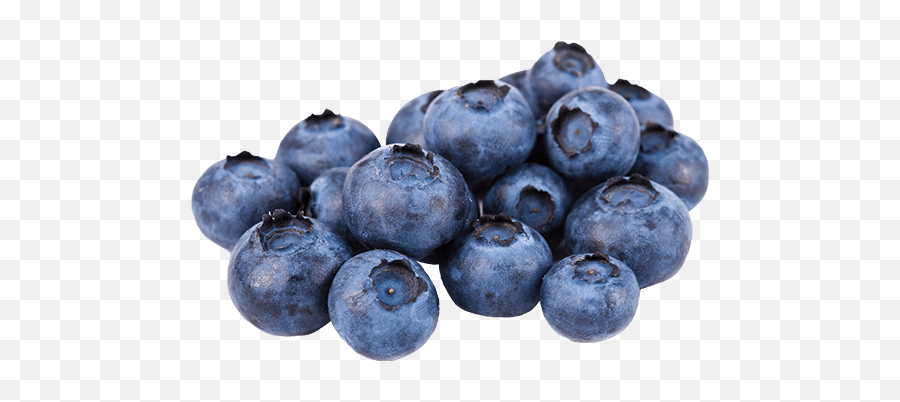 Blueberries - Mindful Snacks Diet Doctor Keto Snacks Emoji,Blueberries Png