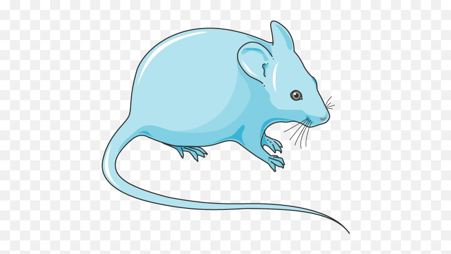 Mouse - Servier Medical Art Mouse Smart Servier Emoji,Rat Transparent