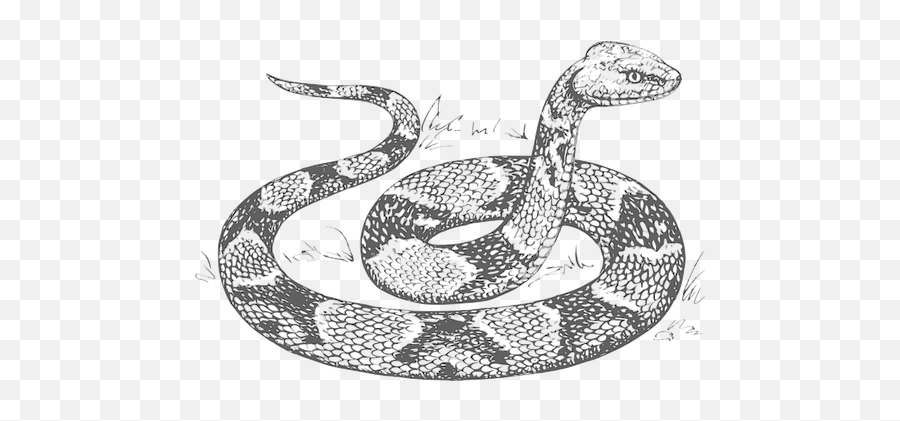 Free Snake Animal Illustrations - Drawing Snake Black And White Emoji,Snake Clipart Black And White