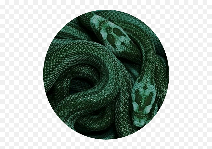 Dark Green Aesthetic Snake Png Image - Dark Green Slytherin Aesthetic Emoji,Green Snake Png