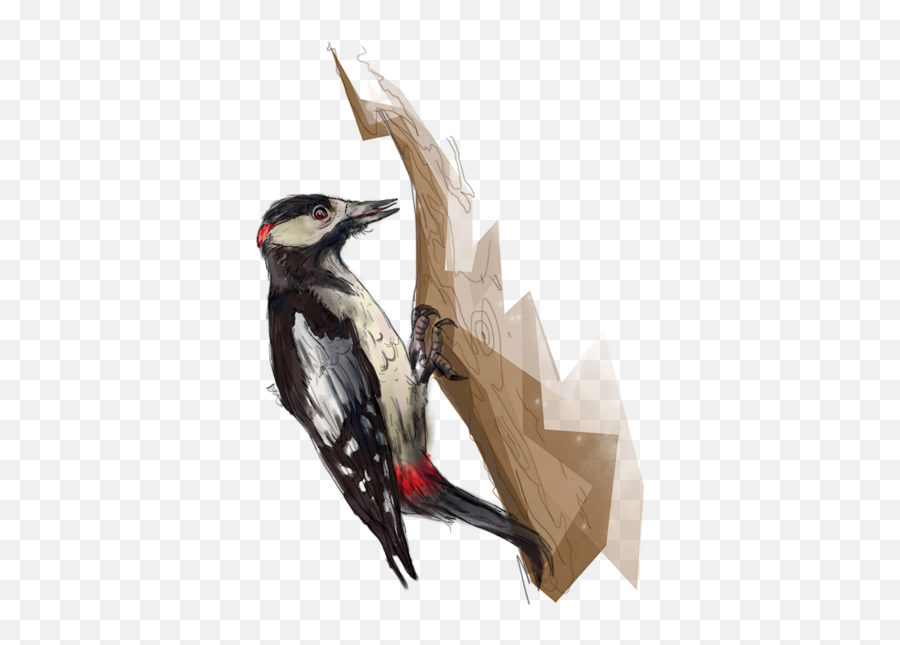 Woodpecker Png Transparent Background Image For Free Emoji,Woodpecker Png