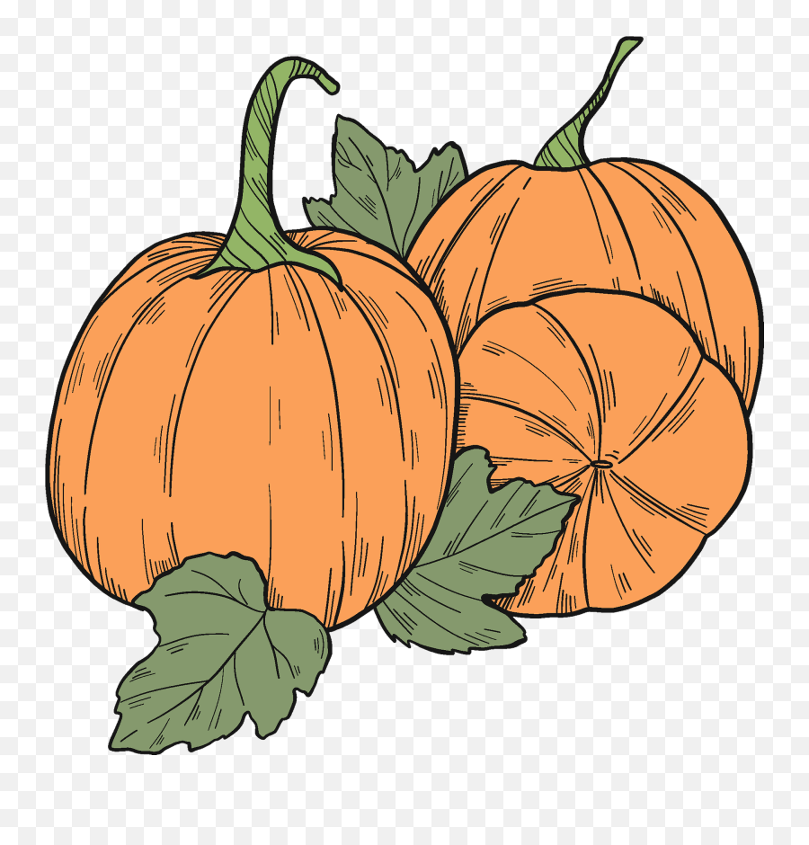 Pumpkin Patch Clipart - Superfood Emoji,Pumpkin Patch Clipart