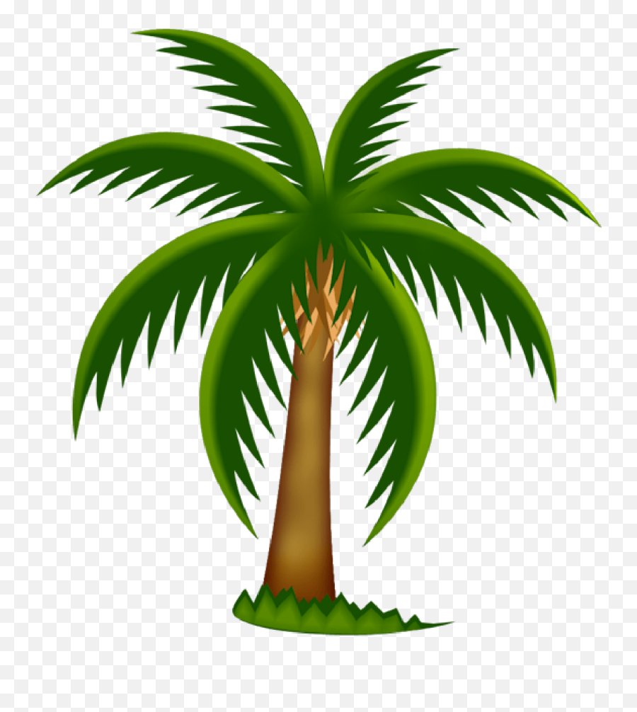 Palm Tree Png Clipart 32 Image Png Image Palm Tree Png - Palm Tree Clipart Emoji,Palm Tree Png