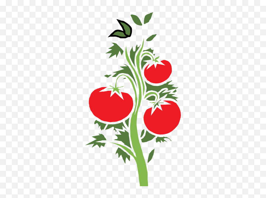 Tomato Plant Clipart Kid - Clipart Tomato Plant Emoji,Plant Clipart