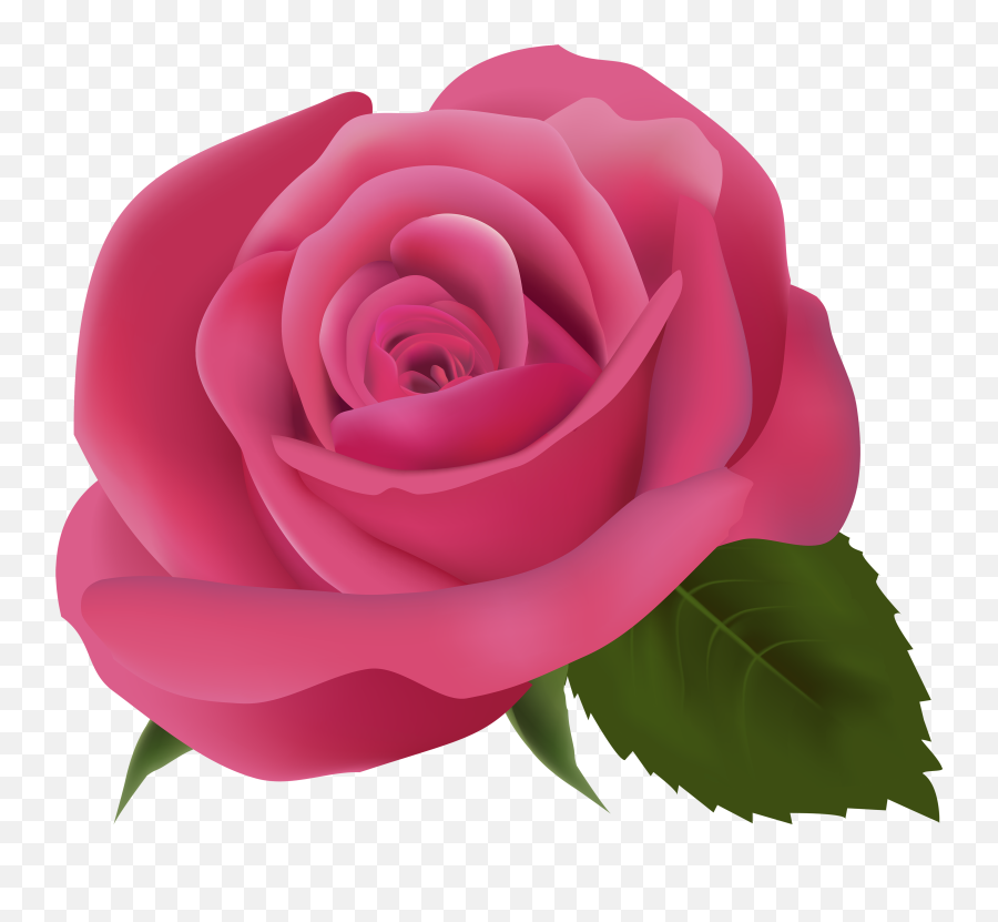 Roses Transparent Background - Transparent Background Pink Rose Transparent Emoji,Roses Transparent