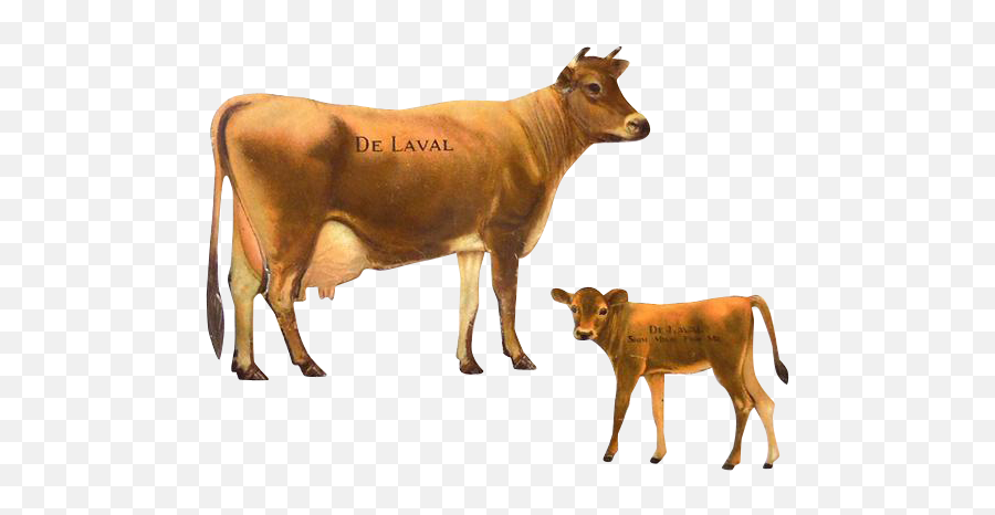 Cow And Calf - Cow Calf Png Emoji,Cow Transparent