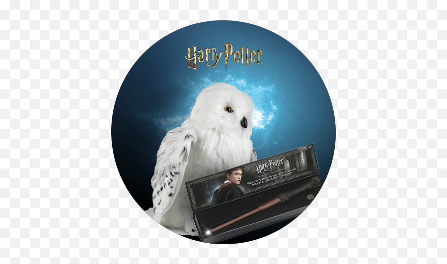 Harry Potter Collection Barnes U0026 Noble - Snowy Owl Emoji,Harry Potter Owl Clipart