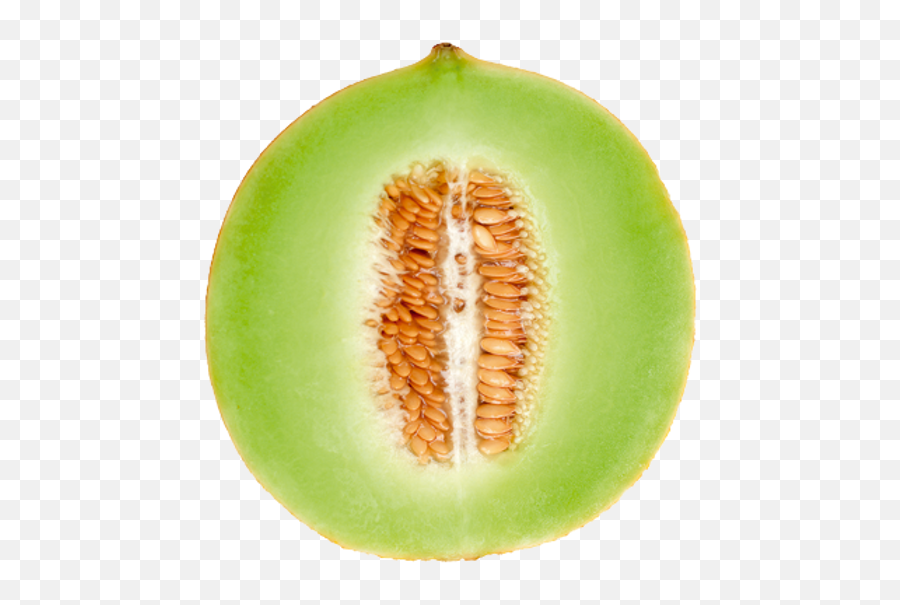 Melon Png Images - Green Melon Png Emoji,Melon Png