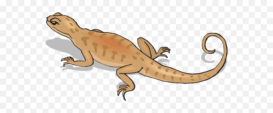 Axolotl Cartoon - Salamander Clipart Png Emoji,Axolotl Clipart