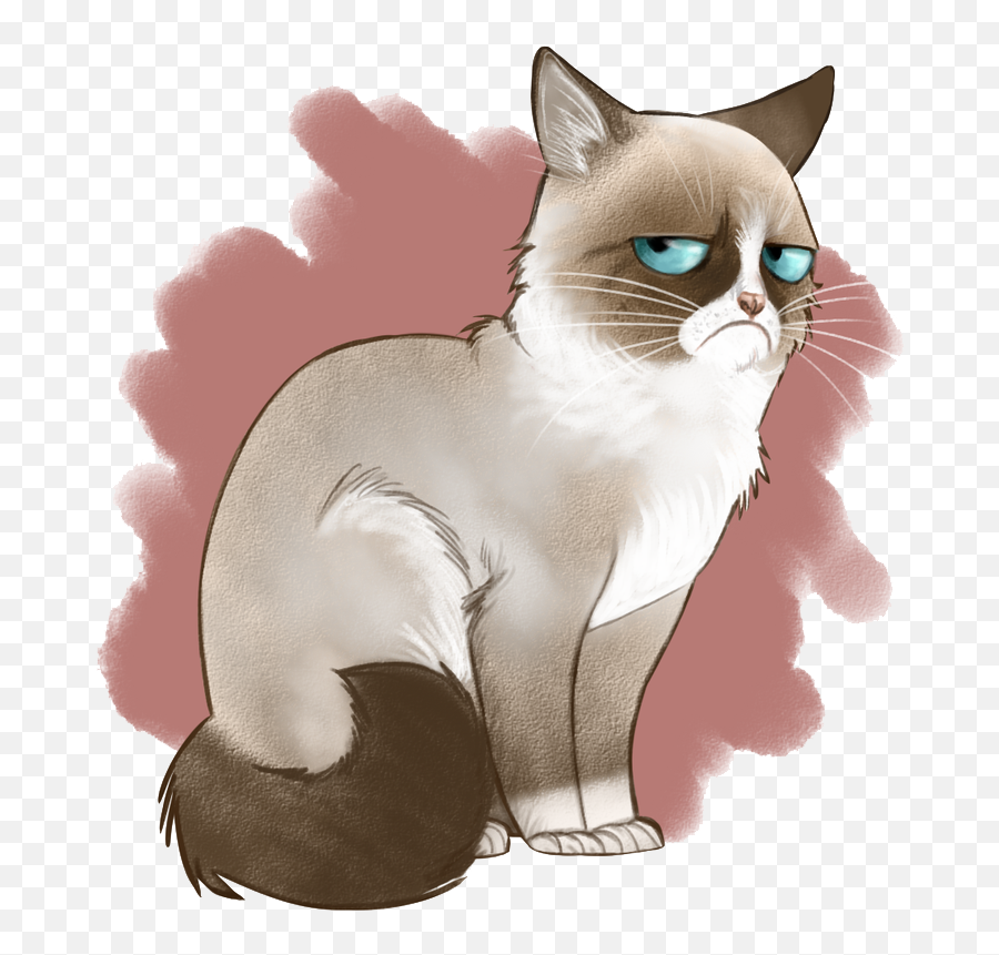 Angry Cat Png Image Background Png Arts Emoji,Angry Cat Png