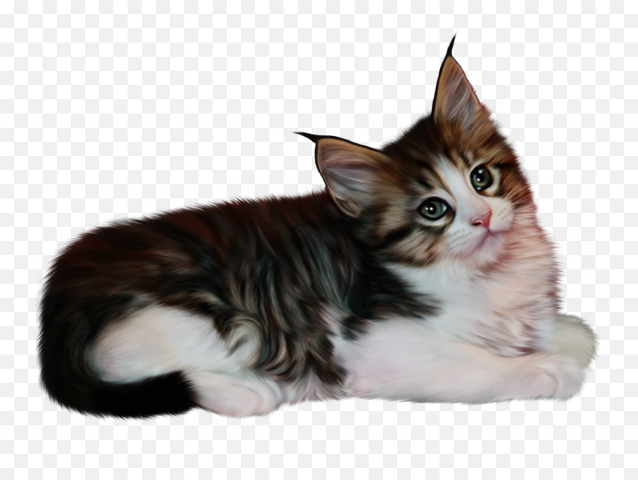 Cute Cat Png Download For Picsart - 2021 Full Hd Emoji,Cute Cat Png