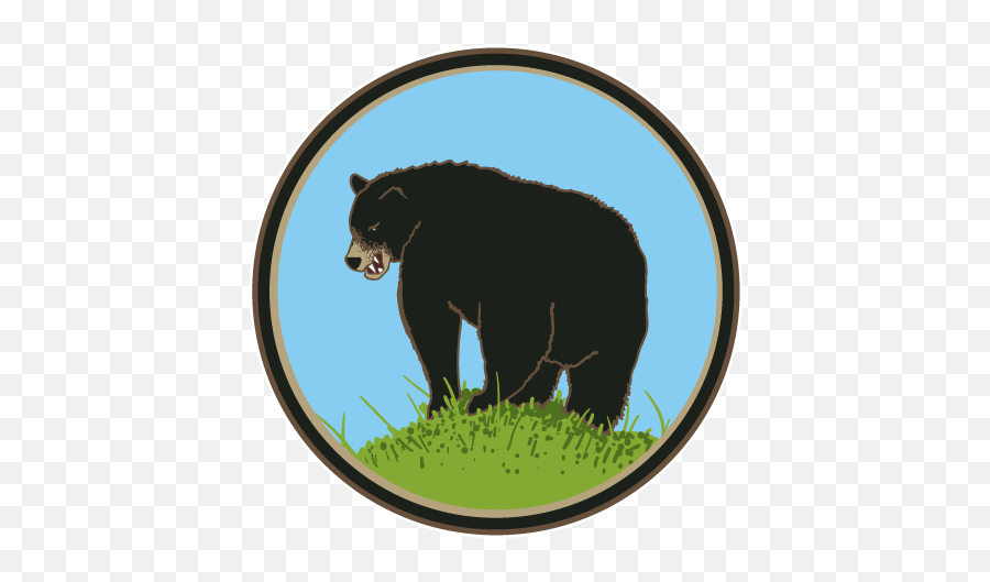 American Black Bear Transparent Png - Grassland Emoji,Black Bear Png