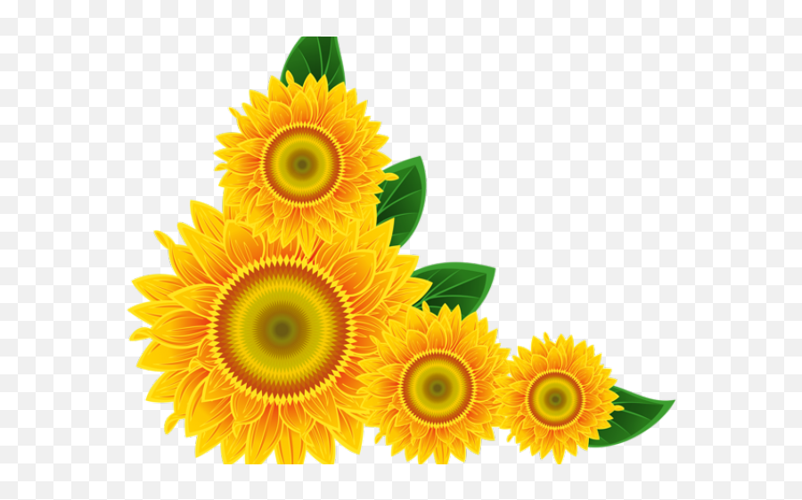Sunflower Clipart Border Design - Sun Flower Background Png Emoji,Border Design Clipart