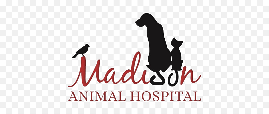Tour Our Clinic - Madison Animal Hospital Emoji,Madison Logo