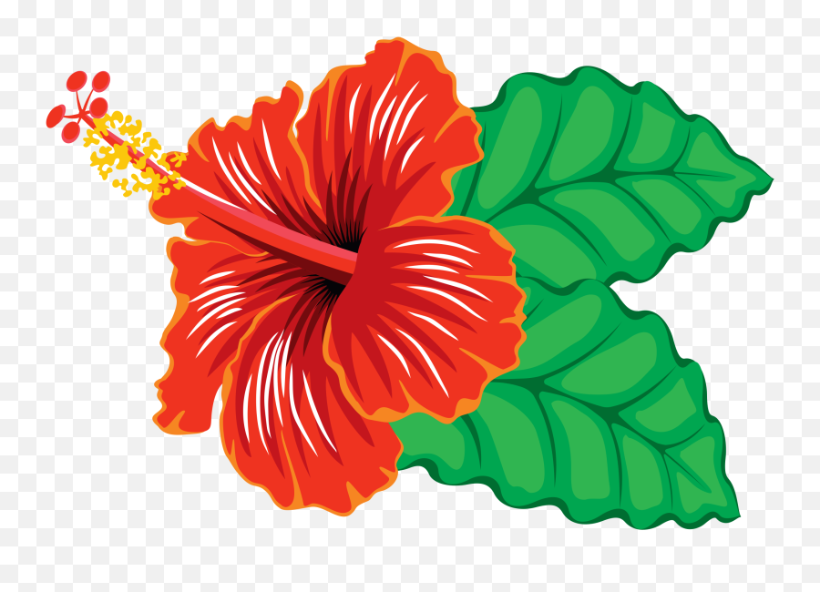 Library Of Green Hibiscus Flower Jpg Transparent Png Files - Clipart Image Of Hibiscus Emoji,Hawaiian Flower Clipart