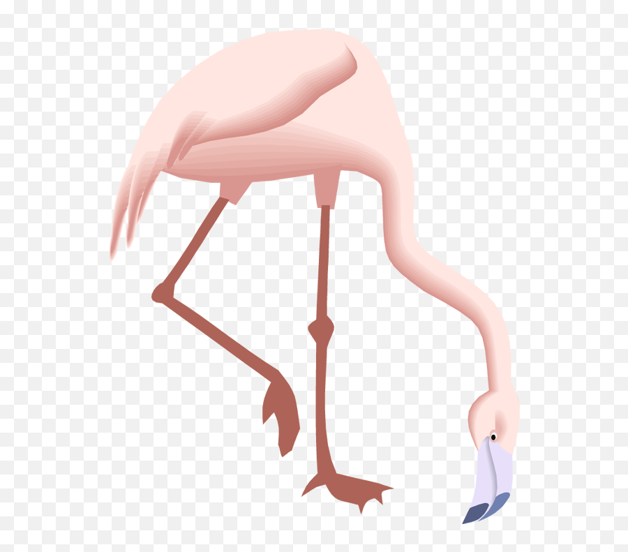 Free Flamingo Clipart Emoji,Pink Flamingo Clipart