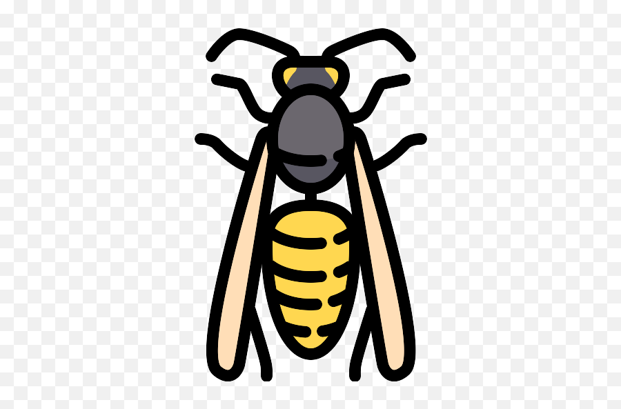 Wasp Vector Svg Icon 6 - Png Repo Free Png Icons Emoji,Hornet Png